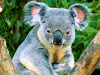 Captcha image 8235