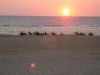 Captcha image 9416